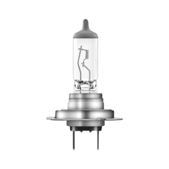 HALOGEN BULBS